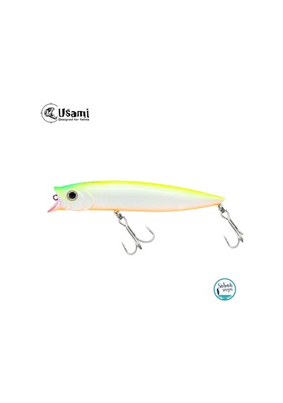 Usami Combo Pop 100F 12Gr Maket Balık -357
