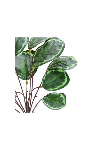 Yapay Calethea Demeti 30 Cm-9886