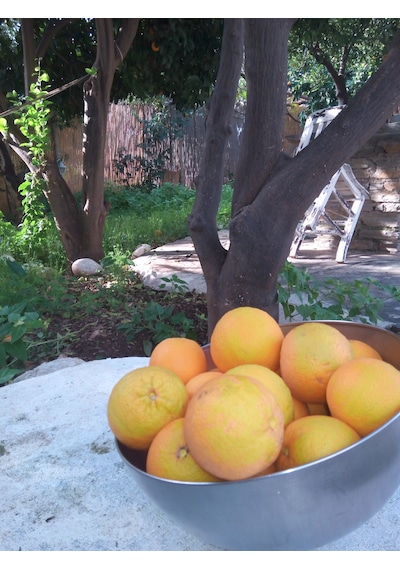 Nenemin Portakal Reçeli 400g