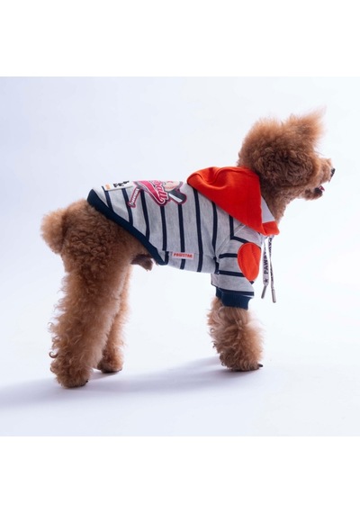 Turuncu Seattle Pitch Köpek Hoodie Köpek Sweat Köpek Kıyafeti Kedi Kıyafeti