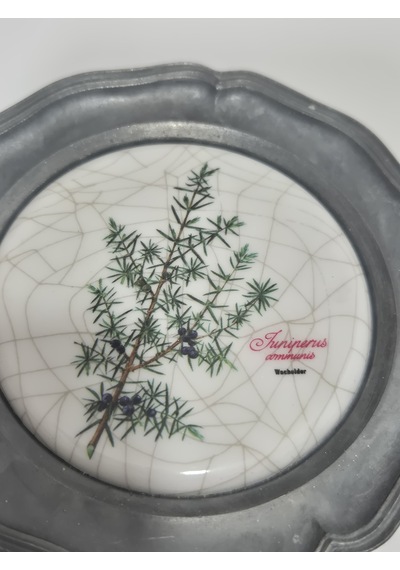 Vintage Zınn Çerçeveli Dekoratif Ardıç Dalı Temalı Duvar Tabağı 10cm 004
