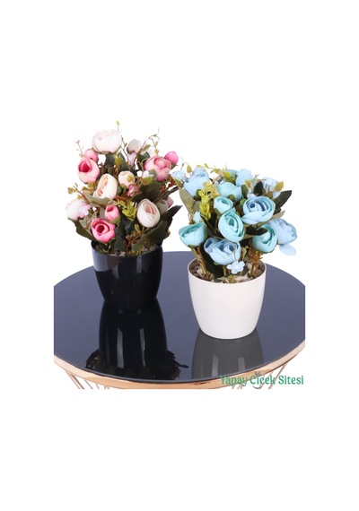 Yapay Çiçek Sitesi Plastik Saksıda Yapay Ranunkulus Tanzimi 2'li Set 30 Cm Pudra Pembe - Turkuaz