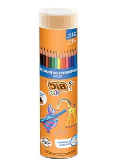 Dayanıklı Kuru Boya Kalemi Seti - 25'li 124-Pembe