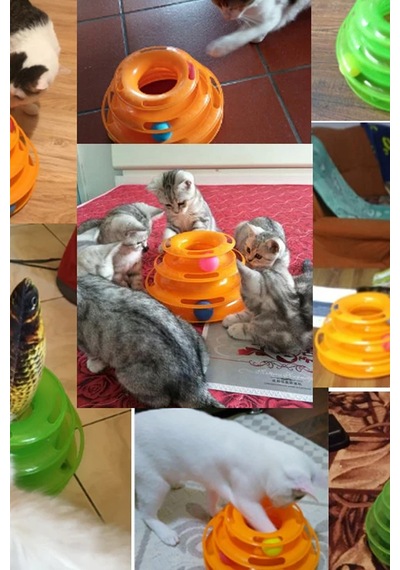 Thentech Dönebilen Hazneli Oyuncak 3 Katlı Kedi Köpek Oyuncağı Turuncu