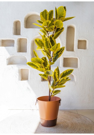 The Mia Yapay Ficus Altissima Ağacı Sarı Yeşil 170 Cm