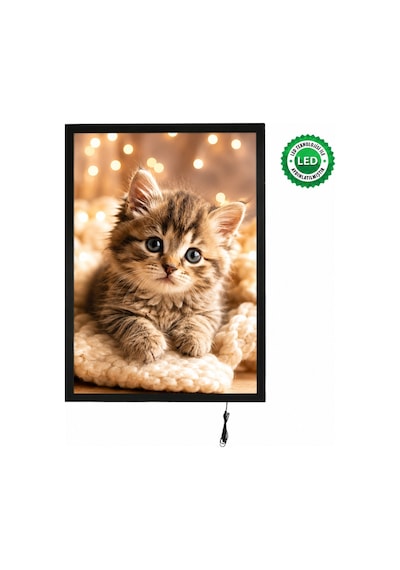 Magneco Ledbox Tek Taraflı Işıklı Çerçeve B2