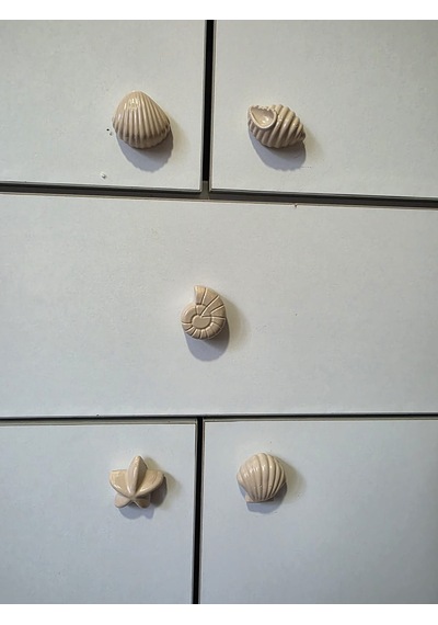 6'lı Deniz Kabuğu Temalı Dolap Çekmece Kulpu, Açık Kahve, 4-5 Cm, Açık Kahverengi