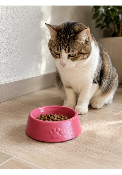Pati Desen Model Beton Kedi Köpek Mama Ve Su Kabı 13 Cm Çap X 4 Cm - Pembe