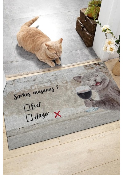 Sarhoş Musun Kapı Önü Paspası Dekoratif Kapı Paspası Dış Mekan Paspas Ev Içi Paspası 45x70cm Çok Renkli