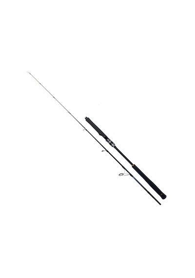 Ryuji Seawolf 1.98m 150-250gr 2P Jig Olta Kamışı