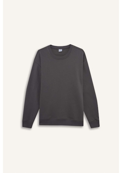 Defacto Relax Fit Bisiklet Yaka Kalın İçi Yumuşak Tüylü Basic Düz Sweatshirt T5139az25augr438 Gri-gr438 Defacto Relax Fit Bisiklet Yaka Kalın İçi Yumuşak Tüylü Basic Düz Sweatshirt T5139az25augr438 Gri-gr438