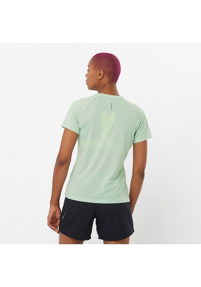 Salomon Cross Run Ss Tee W 4301 Çok Renkli