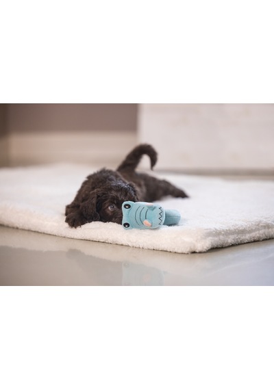Hnrlıshp Beeztees Köpek Oyuncağı, Peluş, Turkuaz, 16x18x8,5cm
