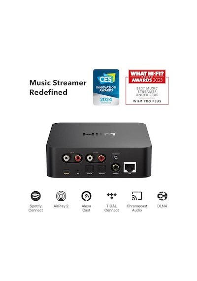 Wiim Pro Plus Streamer