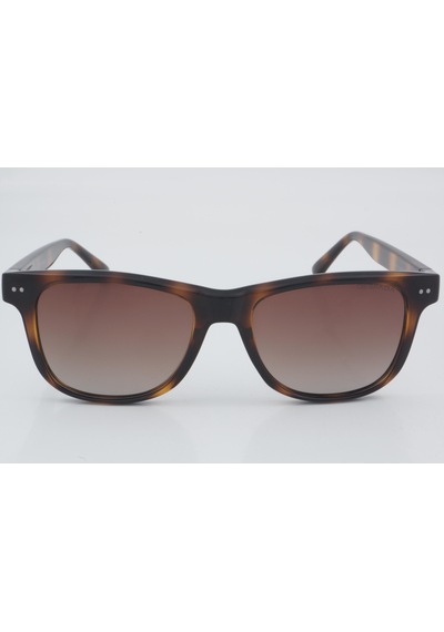 Despada Ds 2060 C2 52 - 01 Güneş Gözlüğü Leopar