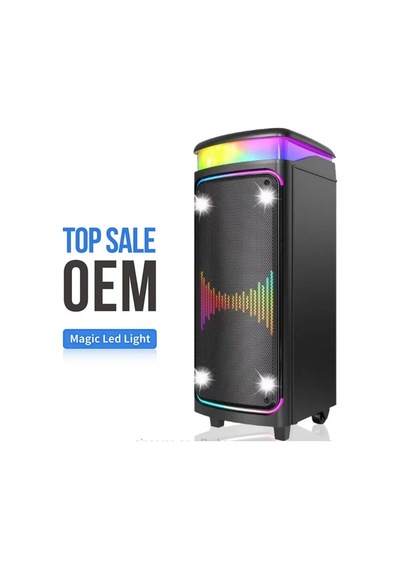 Büyük Boy Çift Kablosuz Mikrofonlu Bluetooth Hoparlör Taşınabilir Tekerlekli Speaker