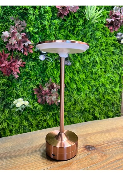 Dokunmatik Şarjlı Masa Lambası Ufo Bakır Gövde Dim Edilebilir Şavk Bakır