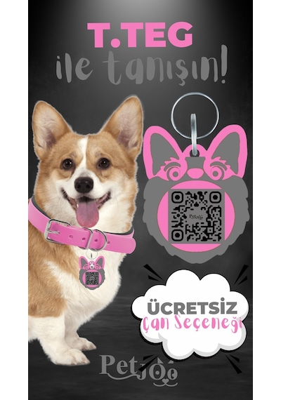 Petjoo 15.T.Teg Gri-Pembe Qr'lı Köpek Künyesi