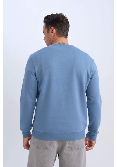 DeFacto Regular Fit Bisiklet Yaka Kalın Basic Düz Sweatshirt T3777AZ25SPIN195