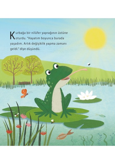 Kurbağa'nın Yaz Yolculuğu
