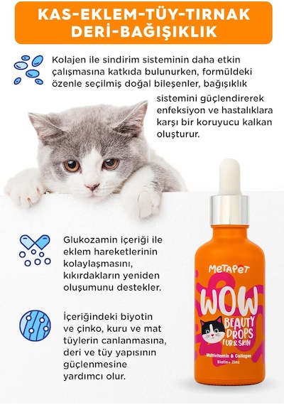 Metapet Kediler İçin 6in1 Multivitamin Damlası Tüy Eklem Glukozamin 50 ML