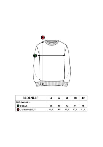Toontoy Kids Toontoy Erkek Çocuk Kanguru Cepli Baskılı Sweatshirt Siyah