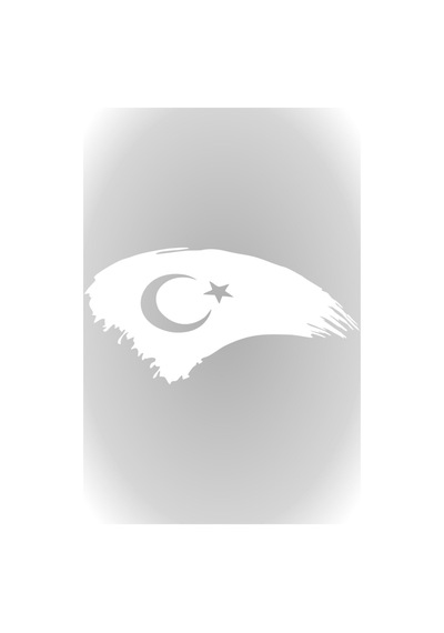 Türk Bayrağı Türkiye Bayrak Sticker Beyaz 15 X 7,5 Cm