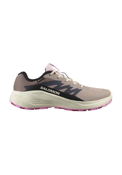Salomon Alpha Glide Gtx W Gore-tex L47857900 Erkek Spor Ayakkabı Pudra
