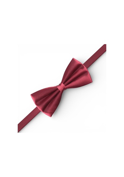 Dwoy Erkek Bordo Saten Papyon-713