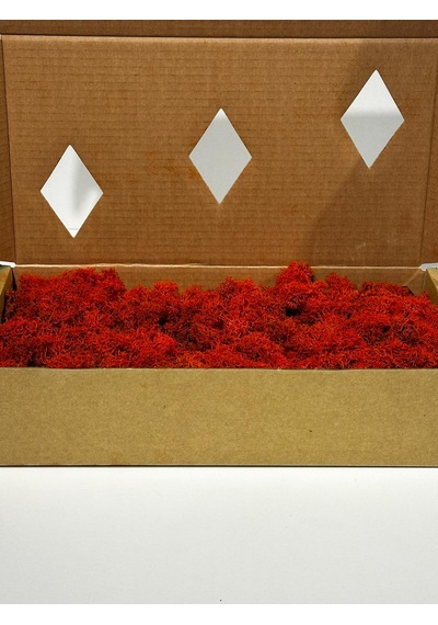 Reindermoss Şoklanmış Norveç Yosunu Terarium Yosunu Kırmızı 500 Gr.