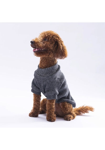 Pawstar Black Merino Sweat Large 30x33x46 Cm