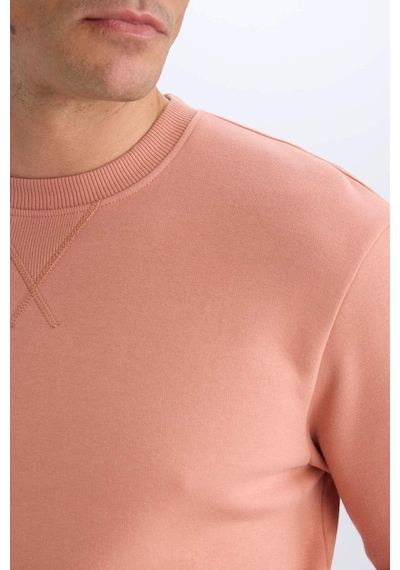 DeFacto Regular Fit Bisiklet Yaka Kalın Basic Düz Sweatshirt T3777AZ25SPPN602