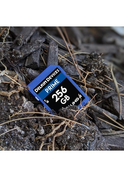 256 Gb Prime Sdxc