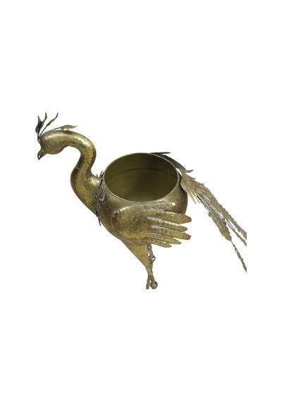 T.concept Dekoratif Dayanıklı Metal Saksılı Tavus Kuşu Aksesuar Gold Renk