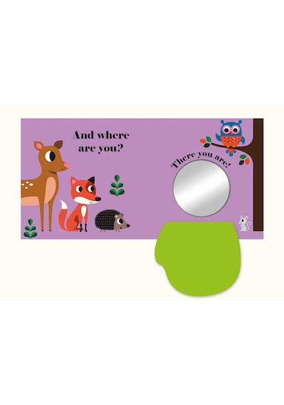 Where's Mr Owl? - Ingela  Arrhenius - NOSY CROW