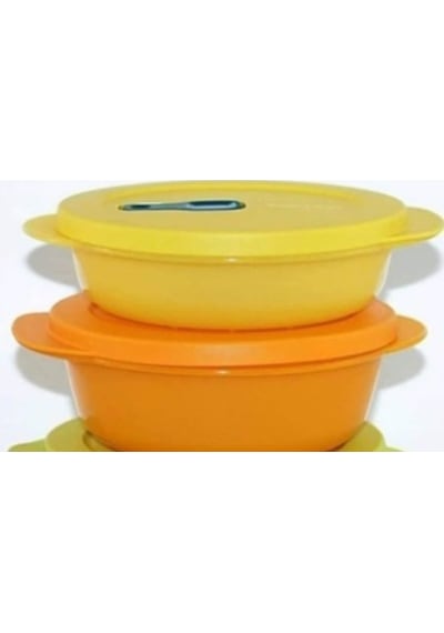 Tupperware Mikro Kap 2Li 400 Ml Ve 600 Ml Çok Renkli