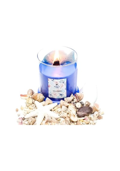 Büyük Üfleme Cam Balık Dekorlu Saks Mavisi Ocean Breeze Kokulu Vegan Mum 380 Gr 50 x 22