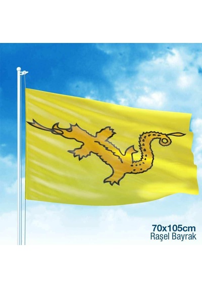 Büyük Hun İmparatorluğu - 17 Eski Türk Devleti Bayrağı -70x105 Cm 1