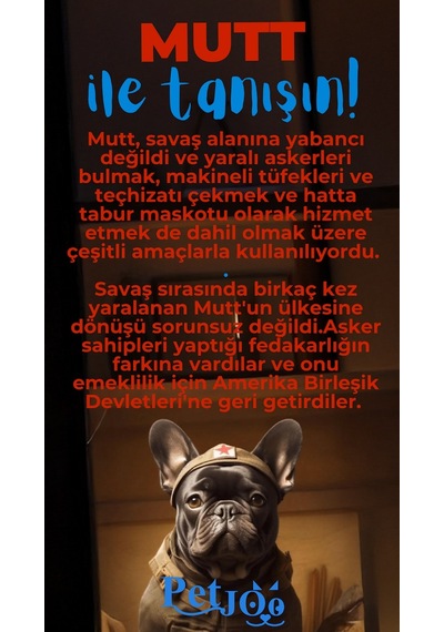 Petjoo 10.Mutt Mavi-Kırmızı Qr'lı Köpek Künyesi