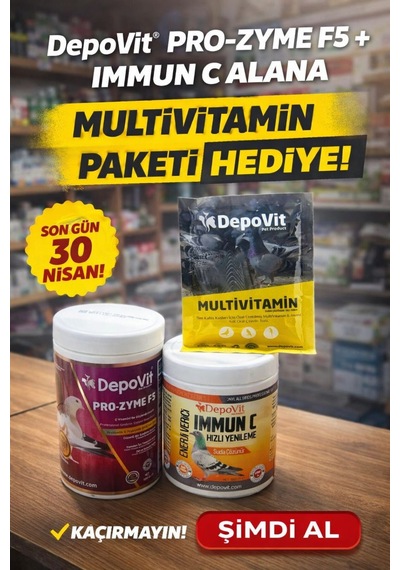 2 Li Destek Seti Hediyeli Ürün Depovit Pro-zyme F5+depovit İmmun C