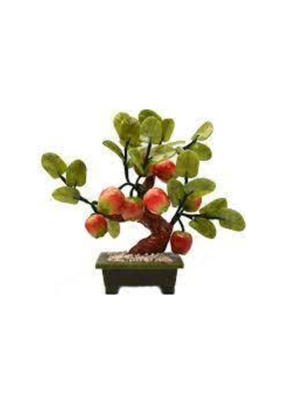 10 Adet Tohum Bodur Bonsai Elma Ağacı Bonzai Tohumu Sürpriz Bonsai Ağaç Tohum