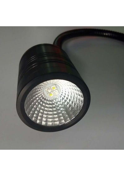 Balık Yumurtlama ve Çoğaltma İçin Led