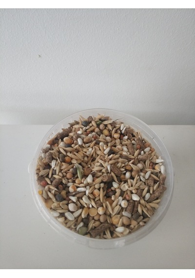Goldmind Mix Karışım Kemirgen Yemi 5 KG