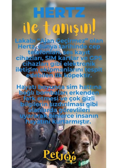 Petjoo 26.Hertz Sarı-Mavi Qr'lı Köpek Künyesi