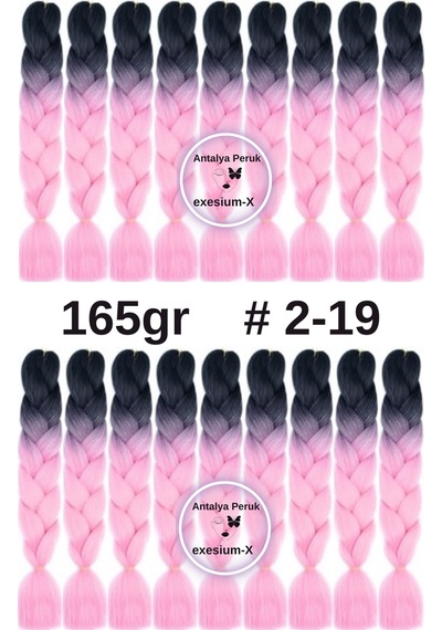 X-pression Afrika Örgüsü Ombreli Sentetik Saç 165 Gr 2-19