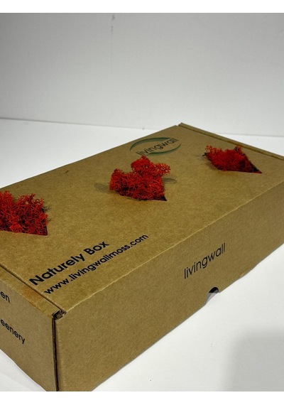 Reindermoss Şoklanmış Norveç Yosunu Terarium Yosunu Kırmızı 500 Gr.