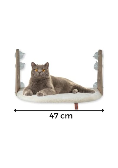 Pugalo Cam Yatağı Vantuzlu Kedi Cam Yatağı Pugalo Vantuzlu Yatak Krem