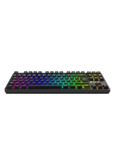 Gamebooster G23b Enigma Tkl Rainbow Aydınlatmalı Red Switch Mekanik Siyah Oyun Klavyesi