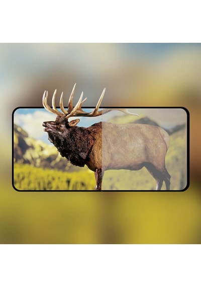 Samsung Galaxy Uyumlu M51 Full Glue Tempered Full Cam Ekran Koruyucu Siyah
