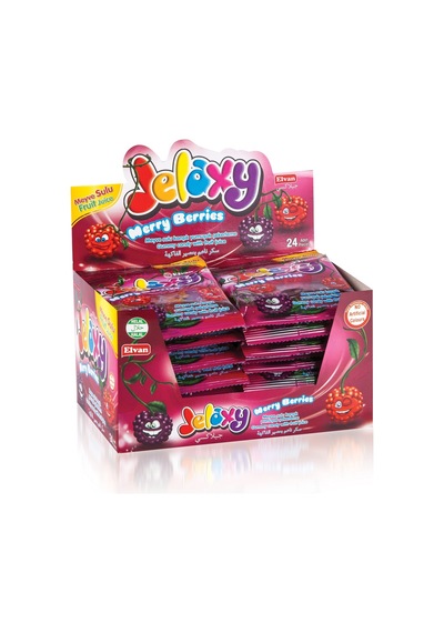 Jelaxy Salkım Böğürtlen 20 Gr. 24 Paket (1 Kutu)